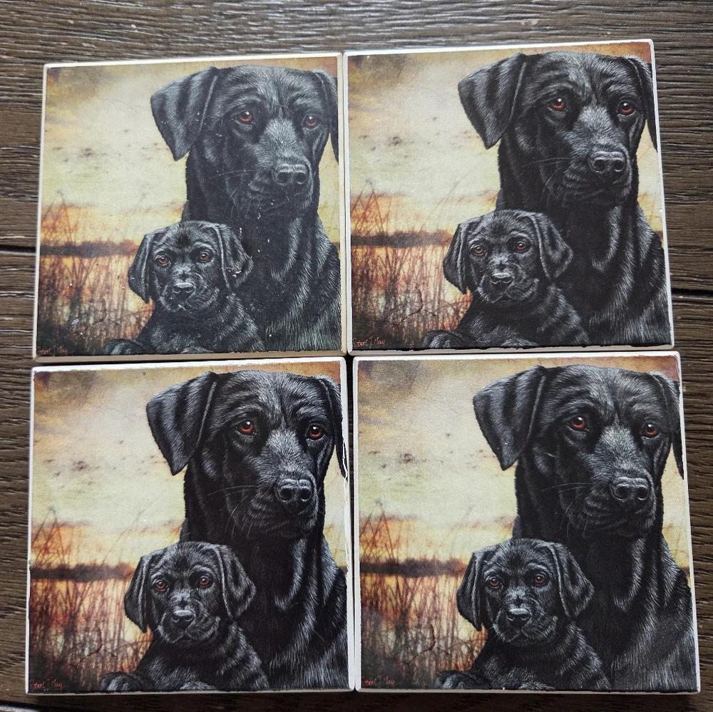 AbsorbaStone Set of 4 Black Labrador Retriever Dogs Absorbent Stone Coasters